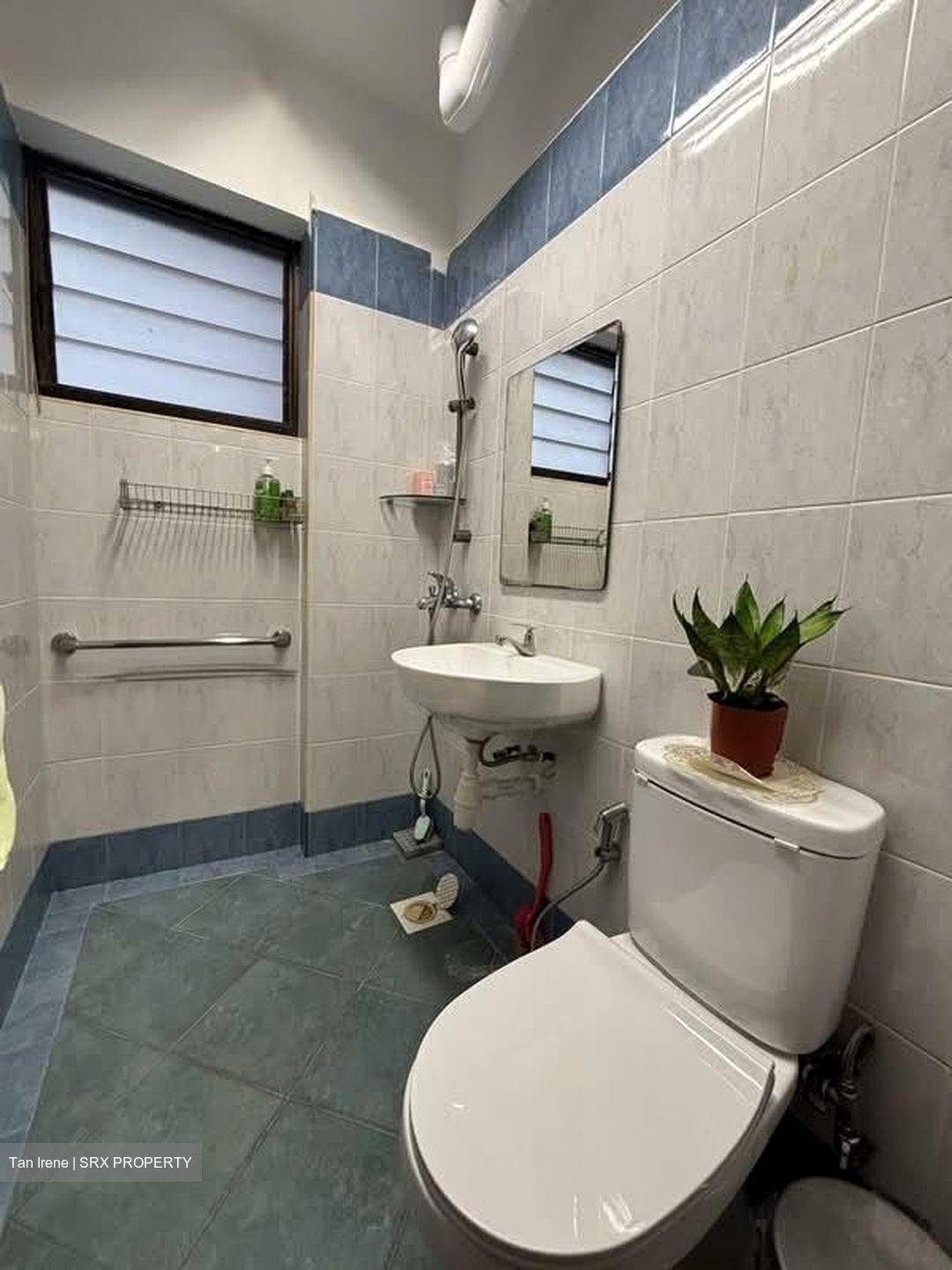Pine Grove (D21), Condominium #569617161